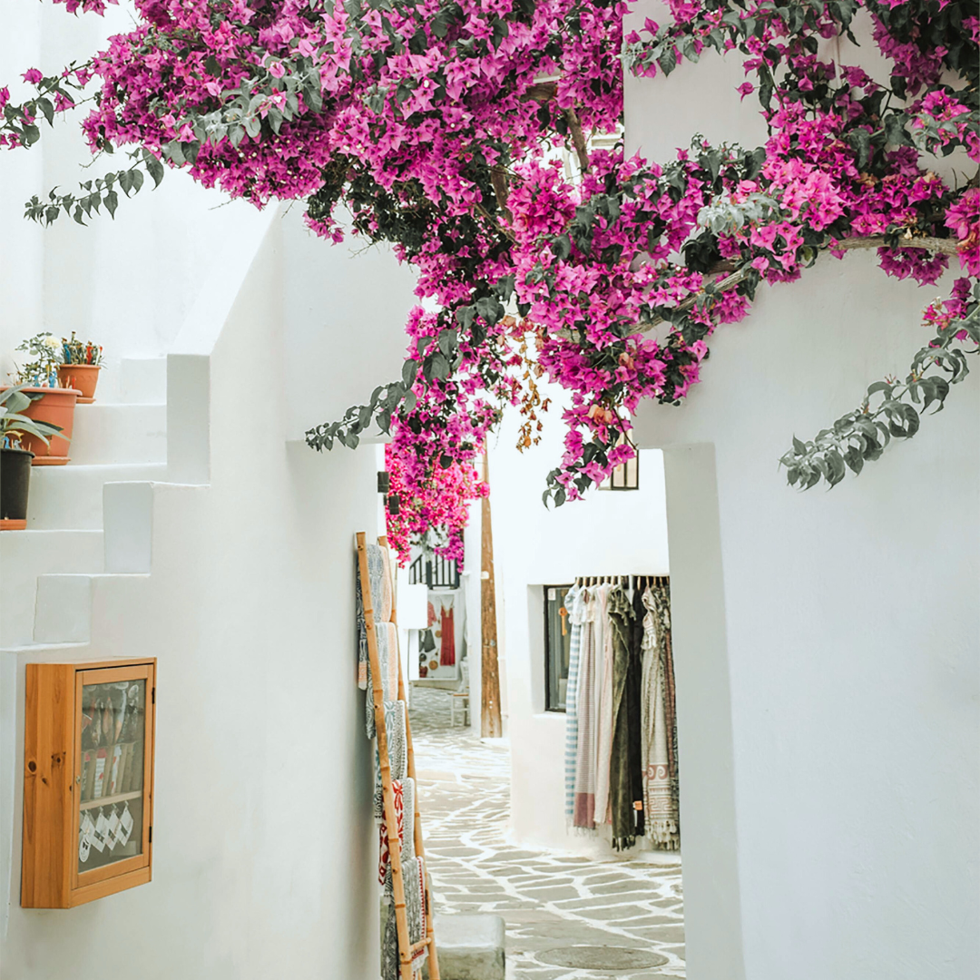 Resort and Travel Wear, Inspired By The Mediterranean