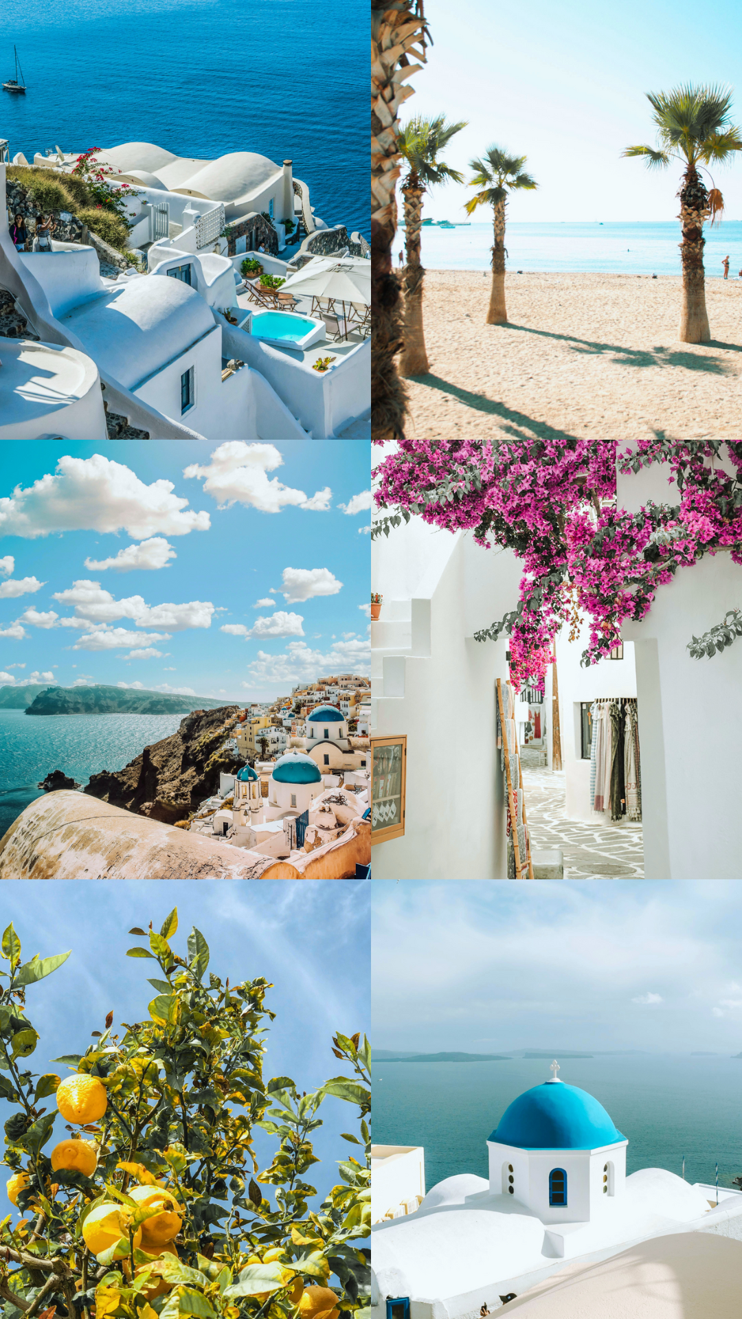 Resort and Travel Wear, Shay and Bahari